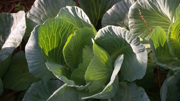 10357192_10202897578801079_2882531414474643176_n