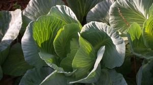 10357192_10202897578801079_2882531414474643176_n