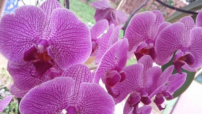 1798703_10200938147776528_1952796571_n