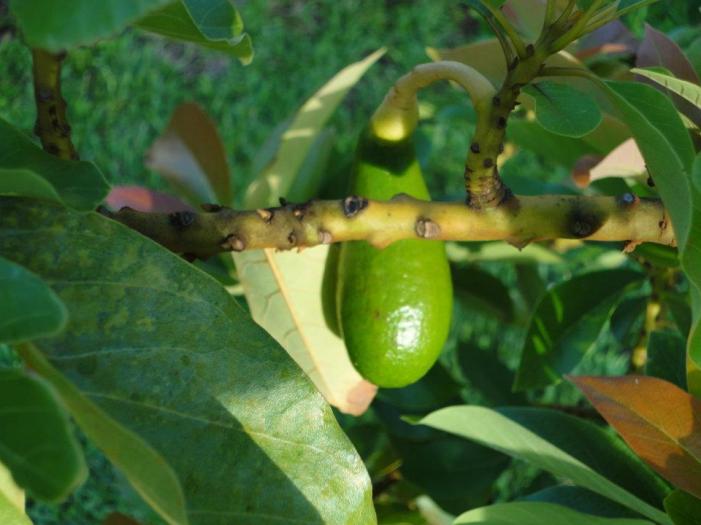 533168_2868769418935_234388858_n